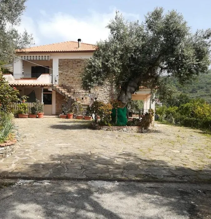 Il Conte Di Marraone-1